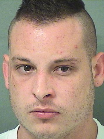  TYLER JOSEPH SMALDONE Results from Palm Beach County Florida for  TYLER JOSEPH SMALDONE