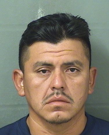  GUILLERMO VARGAS GOMEZ Results from Palm Beach County Florida for  GUILLERMO VARGAS GOMEZ