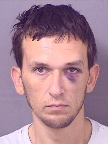  VITALY ANTONOVS Resultados de la busqueda para Palm Beach County Florida para  VITALY ANTONOVS