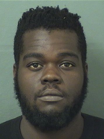  MICHEL B HOPKINS Results from Palm Beach County Florida for  MICHEL B HOPKINS