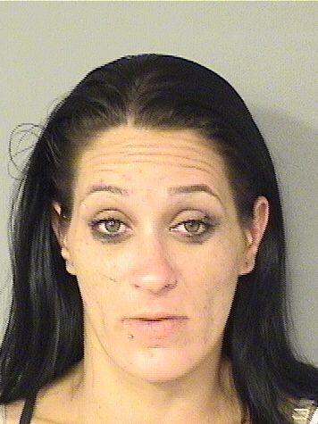  AMY MARIE LINK Results from Palm Beach County Florida for  AMY MARIE LINK