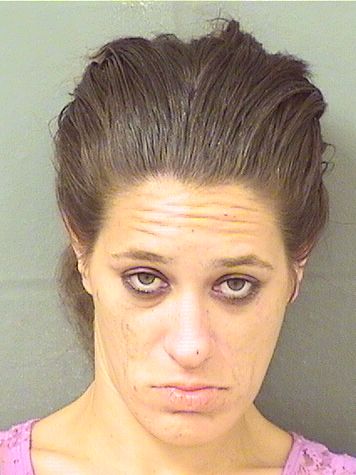  AMY MARIE LINK Results from Palm Beach County Florida for  AMY MARIE LINK