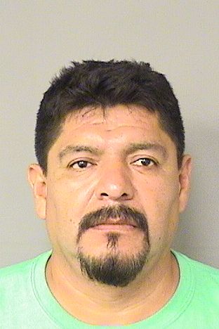  RENE RANGELTAPIA Resultados de la busqueda para Palm Beach County Florida para  RENE RANGELTAPIA