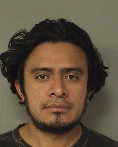  RONY OTONIEL LOPEZMONROY Results from Palm Beach County Florida for  RONY OTONIEL LOPEZMONROY