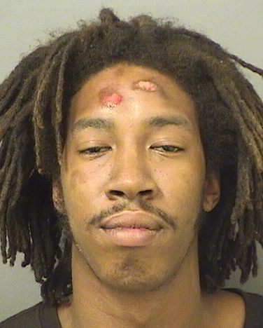  DESMOND JACOBY MCKEVER Resultados de la busqueda para Palm Beach County Florida para  DESMOND JACOBY MCKEVER