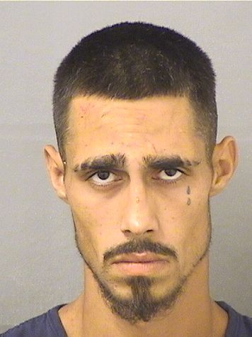  JESSIE VALDEZ Results from Palm Beach County Florida for  JESSIE VALDEZ