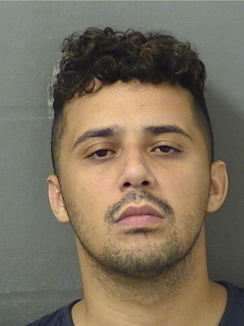 GREGORY J CONCEPCION Results from Palm Beach County Florida for  GREGORY J CONCEPCION