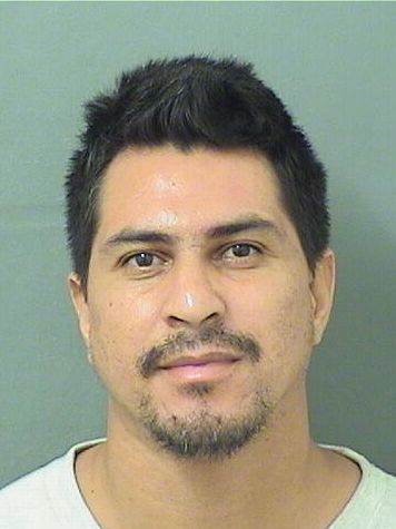  CRISTIAN PLAZAVALDES Results from Palm Beach County Florida for  CRISTIAN PLAZAVALDES