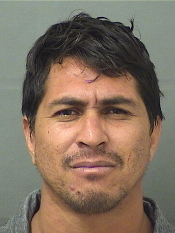  CRISTIAN PLAZASVALDES Results from Palm Beach County Florida for  CRISTIAN PLAZASVALDES