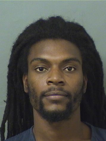  DERRICK E LEWIS Results from Palm Beach County Florida for  DERRICK E LEWIS