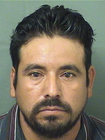  FEDERICO BONILLATOLEDO Photo For  FEDERICO BONILLATOLEDO