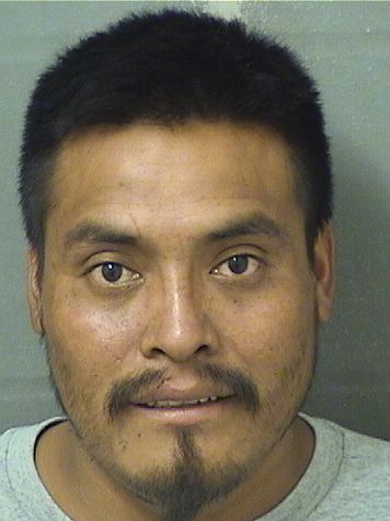  SANTOS ANDRESPABLO Results from Palm Beach County Florida for  SANTOS ANDRESPABLO