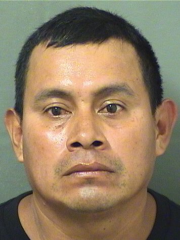  BERNARDO PEREZ Resultados de la busqueda para Palm Beach County Florida para  BERNARDO PEREZ