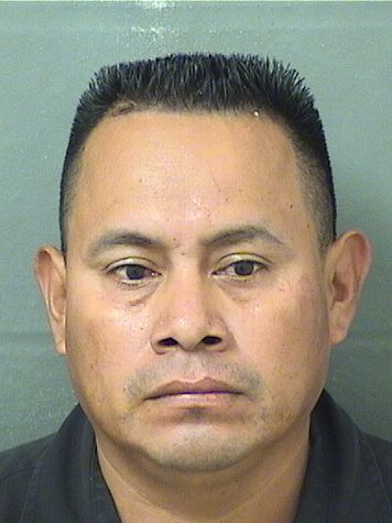 BERNARDO PEREZ Results from Palm Beach County Florida for BERNARDO PEREZ BERNARDO PEREZ Results from Palm Beach County Florida for BERNARDO PEREZ