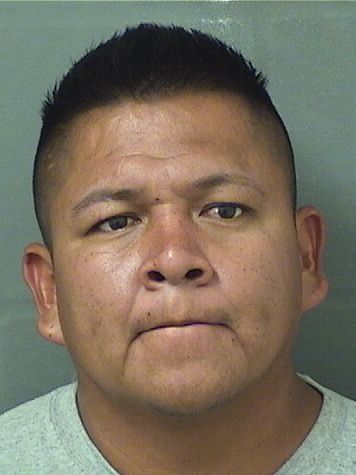  LUIS L AGUILARGUERRA Results from Palm Beach County Florida for  LUIS L AGUILARGUERRA