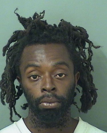  TERRELL LANARD MANSFIELD Results from Palm Beach County Florida for  TERRELL LANARD MANSFIELD