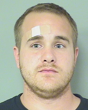  ANDREW T LIVOTI Photo