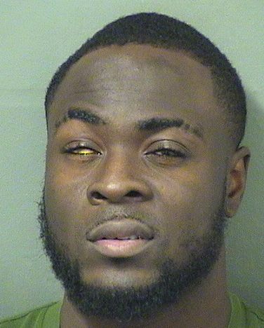  VICKLEY PIERREILUS Results from Palm Beach County Florida for  VICKLEY PIERREILUS