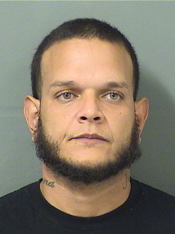  RICHARD MORALESAPONTE Results from Palm Beach County Florida for  RICHARD MORALESAPONTE