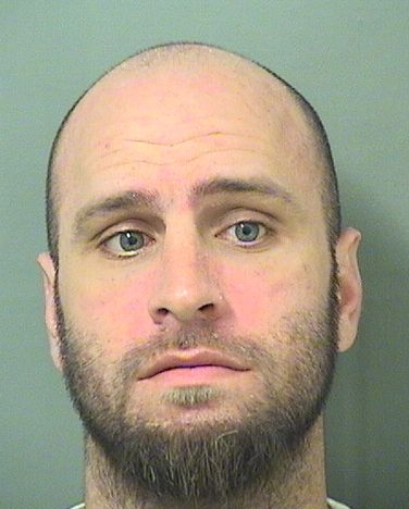  MICHAEL BRIAN SALVATORE Results from Palm Beach County Florida for  MICHAEL BRIAN SALVATORE