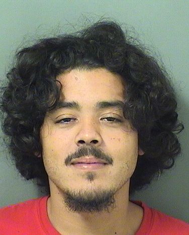  LOUIS A LLANES Results from Palm Beach County Florida for  LOUIS A LLANES