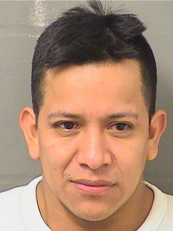  IVAN DOMINGUEZROSAS Resultados de la busqueda para Palm Beach County Florida para  IVAN DOMINGUEZROSAS