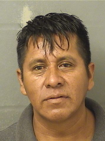  JOSE MIGUEL MARCOS Photo For  JOSE MIGUEL MARCOS