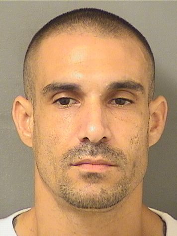  WILFREDO ANTONIO Jr PESANTE Resultados de la busqueda para Palm Beach County Florida para  WILFREDO ANTONIO Jr PESANTE