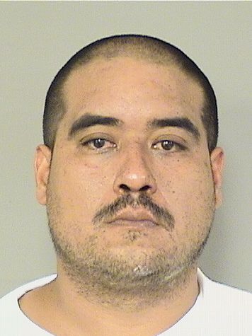  JOSE F VILLANUEVA Results from Palm Beach County Florida for  JOSE F VILLANUEVA