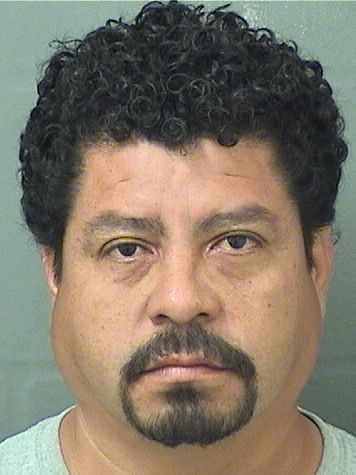  WILBIN YUBINI PEREZDELEON Results from Palm Beach County Florida for  WILBIN YUBINI PEREZDELEON