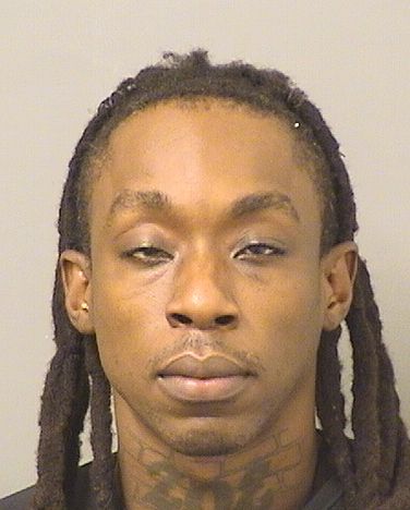  JAMES PIERRELOUIS Results from Palm Beach County Florida for  JAMES PIERRELOUIS