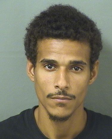  LUIS ALBERTO ARESSANTIAGO Resultados de la busqueda para Palm Beach County Florida para  LUIS ALBERTO ARESSANTIAGO