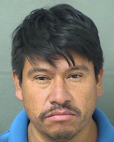  VALENTINO GARIBALDI Photo For  VALENTINO GARIBALDI