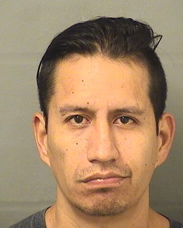  ERIC FRED BAUERMANN Resultados de la busqueda para Palm Beach County Florida para  ERIC FRED BAUERMANN