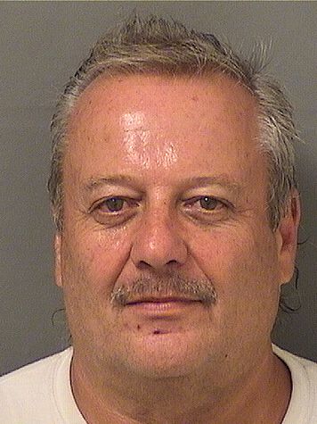 ANDREW PETER MESSINA Results from Palm Beach County Florida for  ANDREW PETER MESSINA