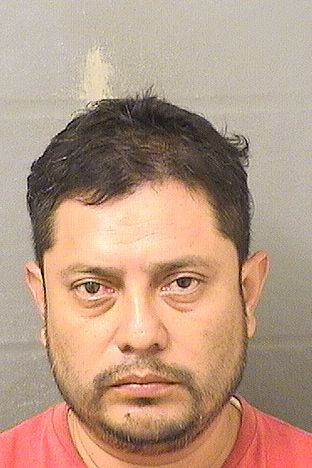 FRANQUIN GONZALEZ Results from Palm Beach County Florida for FRANQUIN GONZALEZ FRANQUIN GONZALEZ Results from Palm Beach County Florida for FRANQUIN GONZALEZ