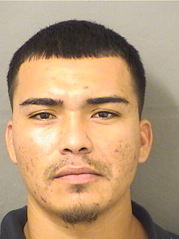  GABRIEL REYES Results from Palm Beach County Florida for  GABRIEL REYES