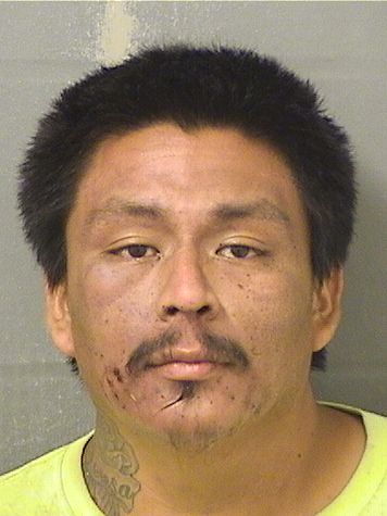  ELIAS MATIASDIEGO Results from Palm Beach County Florida for  ELIAS MATIASDIEGO