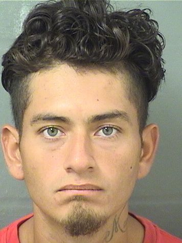  ALEJANDRO RICO Results from Palm Beach County Florida for  ALEJANDRO RICO