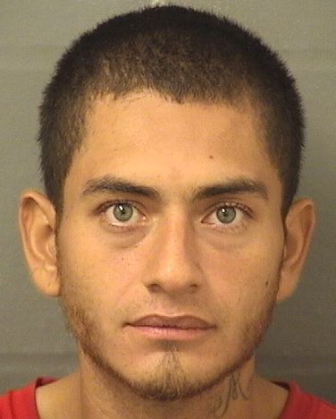 JOEL RICO Results from Palm Beach County Florida for JOEL RICO JOEL RICO Results from Palm Beach County Florida for JOEL RICO