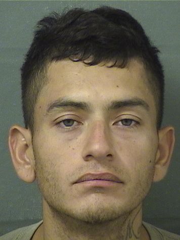 JOEL RICO Results from Palm Beach County Florida for JOEL RICO JOEL RICO Results from Palm Beach County Florida for JOEL RICO