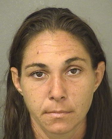 AMBER FILKINS Results from Palm Beach County Florida for  AMBER FILKINS