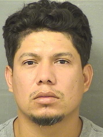  JOSUE HUMBERTO OSORIONUNEZ Results from Palm Beach County Florida for  JOSUE HUMBERTO OSORIONUNEZ