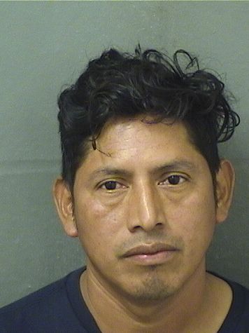  CELESTINO M LOPEZPEREZ Results from Palm Beach County Florida for  CELESTINO M LOPEZPEREZ