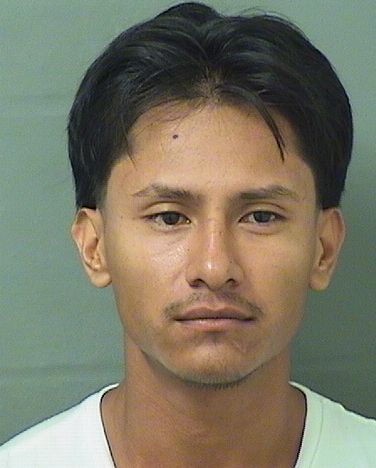 LUIS VAZQUEZ Results from Palm Beach County Florida for LUIS VAZQUEZ LUIS VAZQUEZ Results from Palm Beach County Florida for LUIS VAZQUEZ