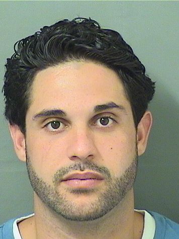  GIOVANNI M LATRONICA Results from Palm Beach County Florida for  GIOVANNI M LATRONICA