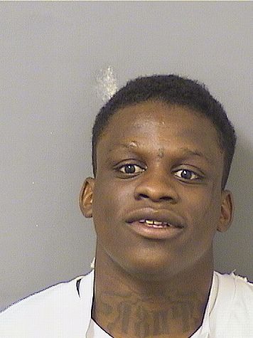  ANDREW LUBY JULIEN Results from Palm Beach County Florida for  ANDREW LUBY JULIEN