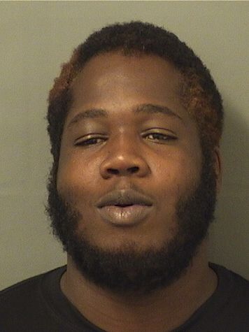  STEPHEN M DIEUJUSTE Resultados de la busqueda para Palm Beach County Florida para  STEPHEN M DIEUJUSTE