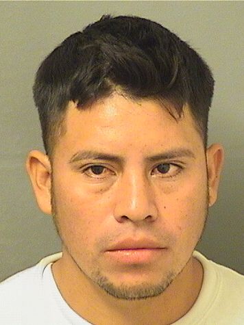 AMILCAR O DOMINGO GONZALEZ Results from Palm Beach County Florida for AMILCAR O DOMINGO GONZALEZ AMILCAR O DOMINGO GONZALEZ Results from Palm Beach County Florida for AMILCAR O DOMINGO GONZALEZ