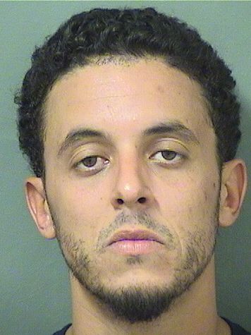  ALEJANDRO GREGORY LOIZ Results from Palm Beach County Florida for  ALEJANDRO GREGORY LOIZ